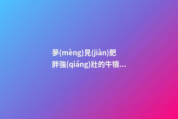 夢(mèng)見(jiàn)肥胖強(qiáng)壯的牛犢　周公解夢(mèng)之夢(mèng)到肥胖強(qiáng)壯的牛犢